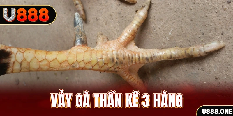 nohu90 nổ hũ đổi thưởng . ai