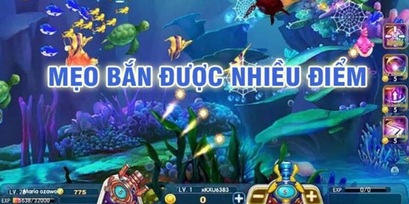 nohu90 đá gà