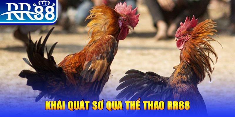 nohu90 nổ hũ là như thế nào