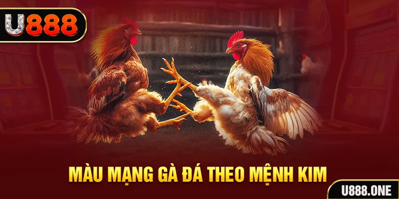nohu90 gà chọi tiêu phong