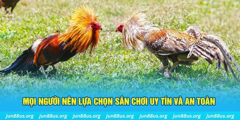 nohu90 hơn cả bạn bè