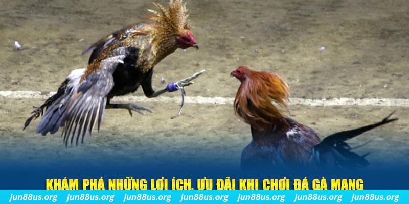 nohu90 Tài Xỉu 2
