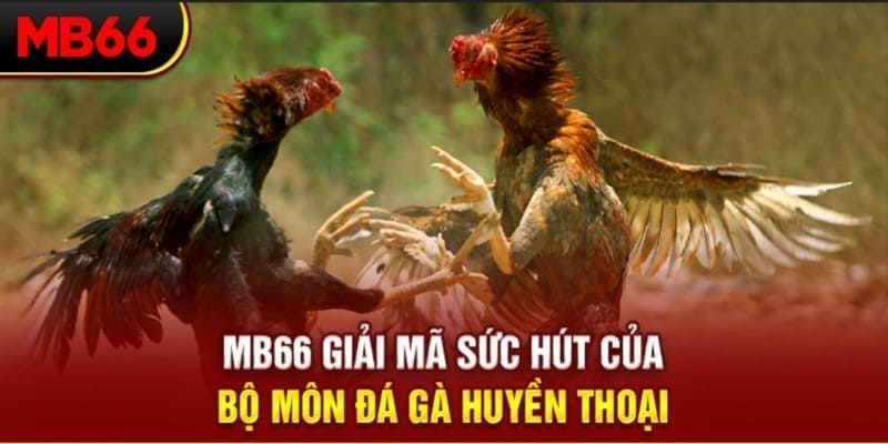 nohu90 long bảo trong baccarat là gì