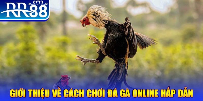 nohu90 nổ hũ 2 mặt là gì
